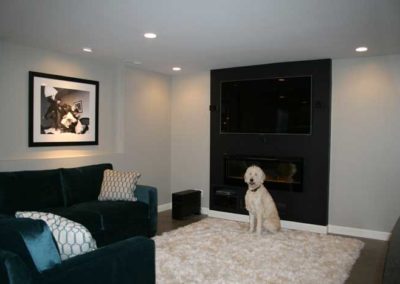 basement grey black dog interior design selections