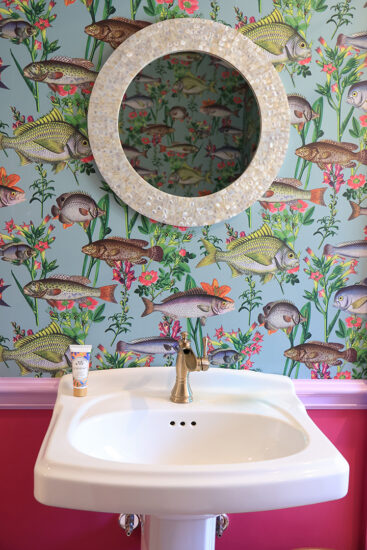 fish bath