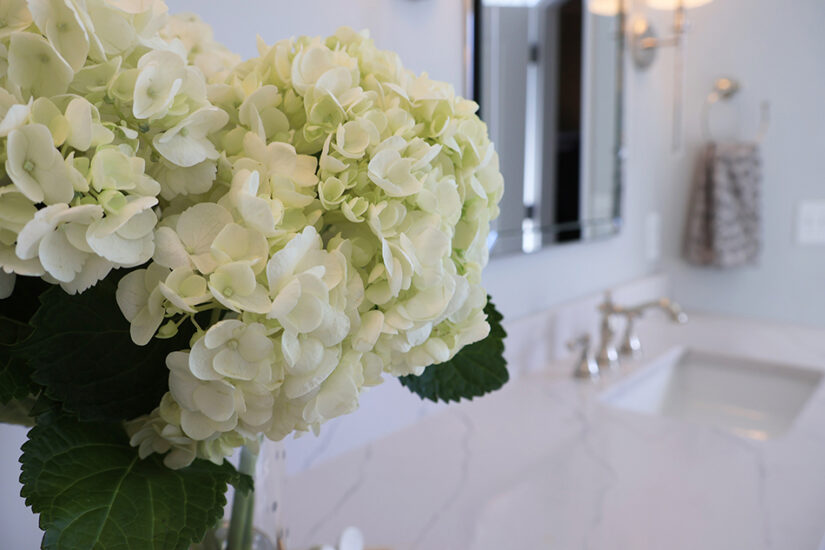 primary bath countertop