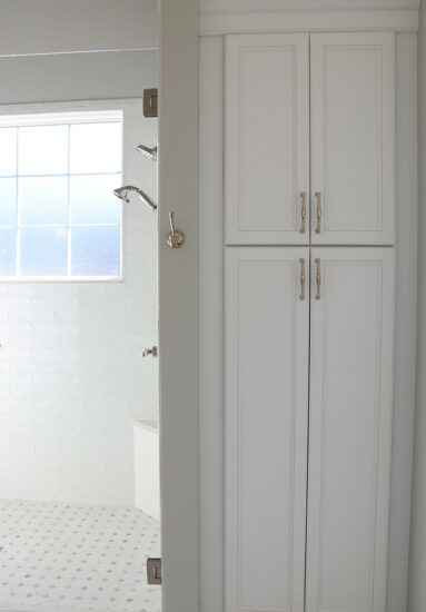 primary bathroom utility cabinet