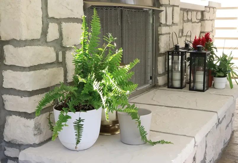 Outdoor fireplace with potted plants and accent decor, by Agape Construction.
