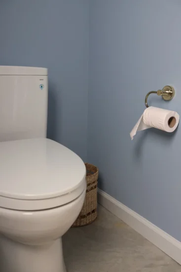 bathroom in carriage house